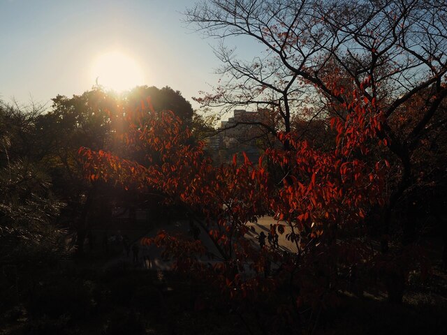 MB305527_2048x1536_補正済.jpg