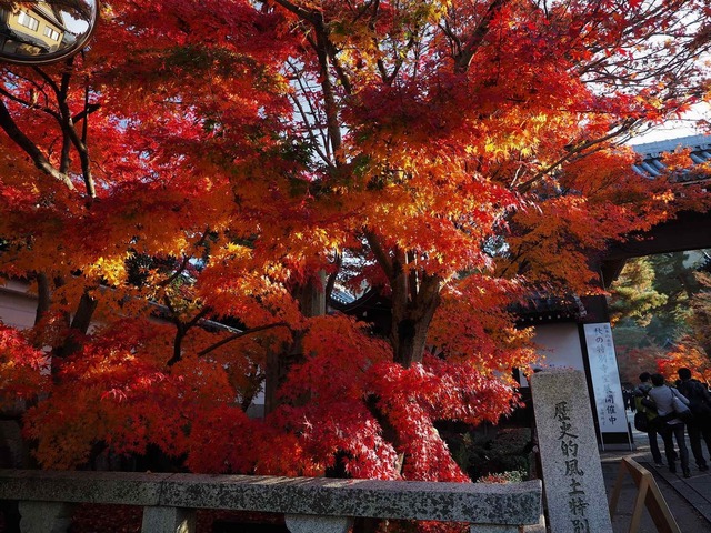 MB309575_2048x1536_補正済.jpg
