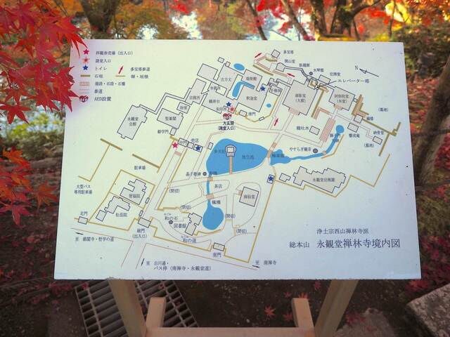 MB309595_2048x1536_補正済.jpg
