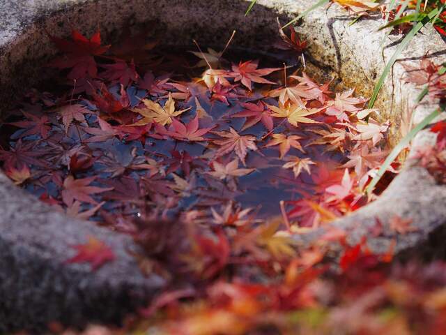 MB309811_2048x1536_補正済.jpg