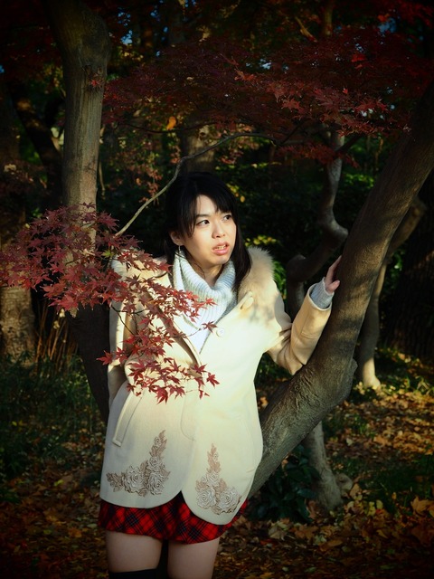 MC087288_2048x1536_補正済.jpg