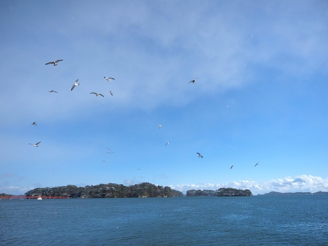 MC157874_2048x1536_補正済.jpg