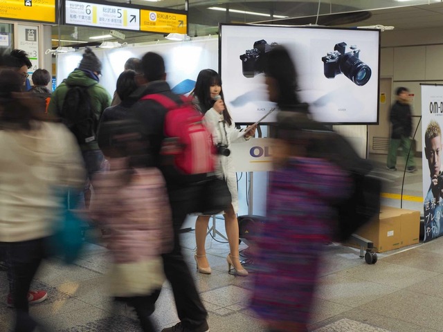 O2210024_2048x1536_補正済.jpg