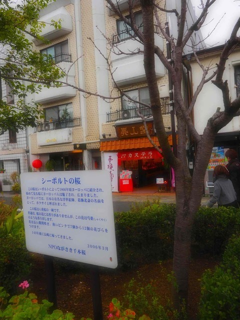 O2280327_2048x1536_補正済.jpg
