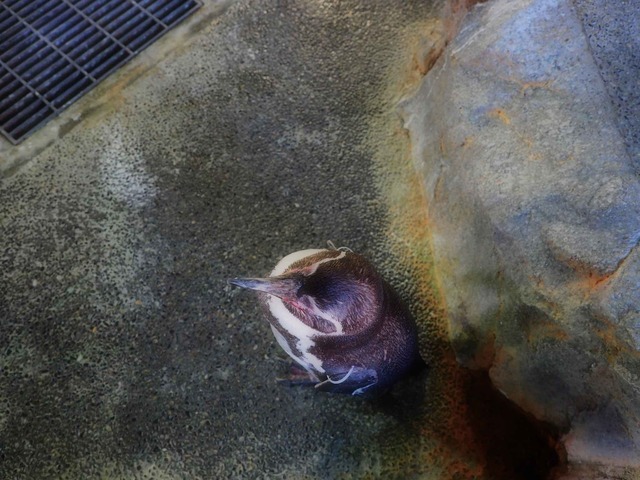 O3021482_2048x1536_補正済.jpg