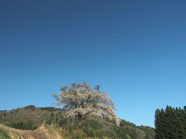 O4272119_2048x1536_補正済.jpg