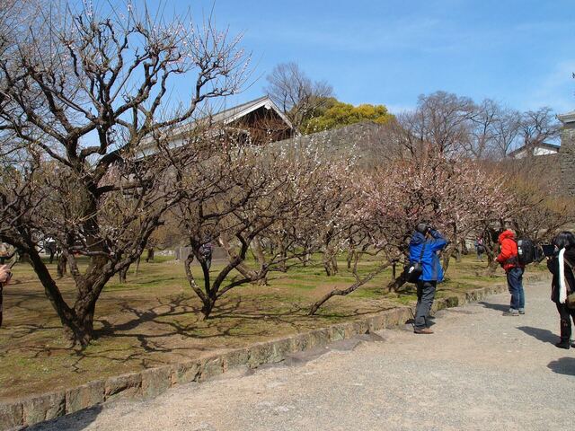 P3089692_2048x1536_補正済.jpg