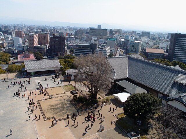 P3089704_2048x1536_補正済.jpg
