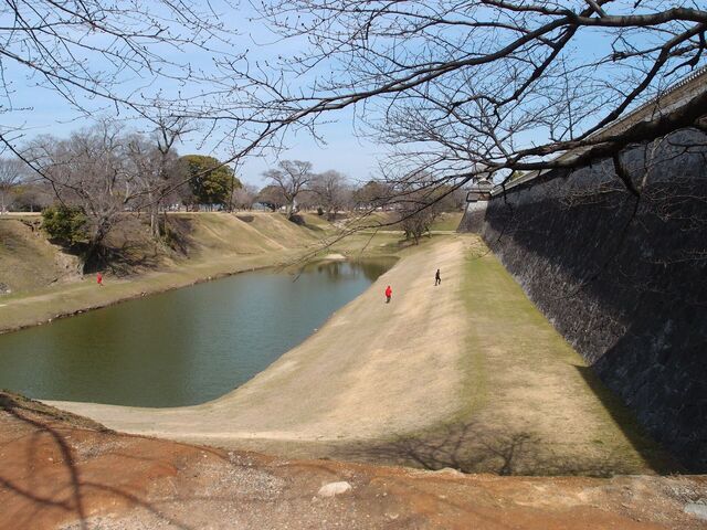 P3089710_2048x1536_補正済.jpg