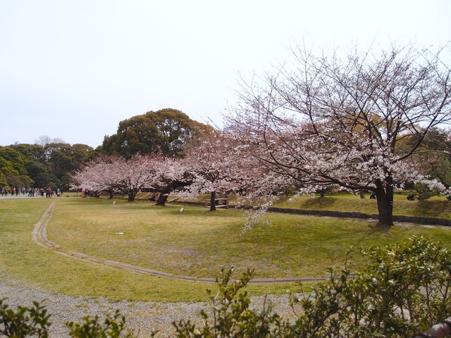 P4073296_1280x960_補正済.jpg