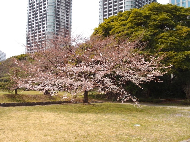 P4073299_1280x960_補正済.jpg