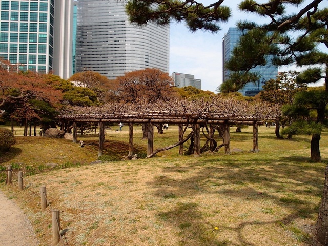 P4073330_1280x960_補正済.jpg