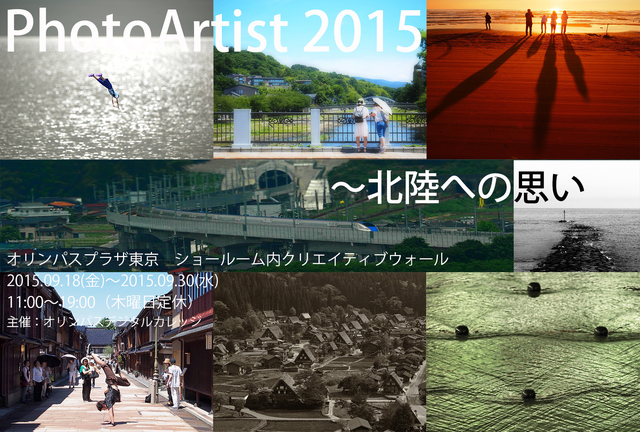 PhotosArtist2015_DM_front_4.jpg