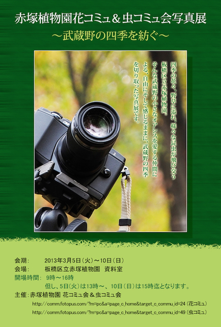 akatsuka-dm01_800x540.jpg