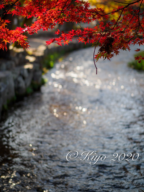 89FD54EC-3A43-40D0-9F72-040DCD8EA984.jpeg