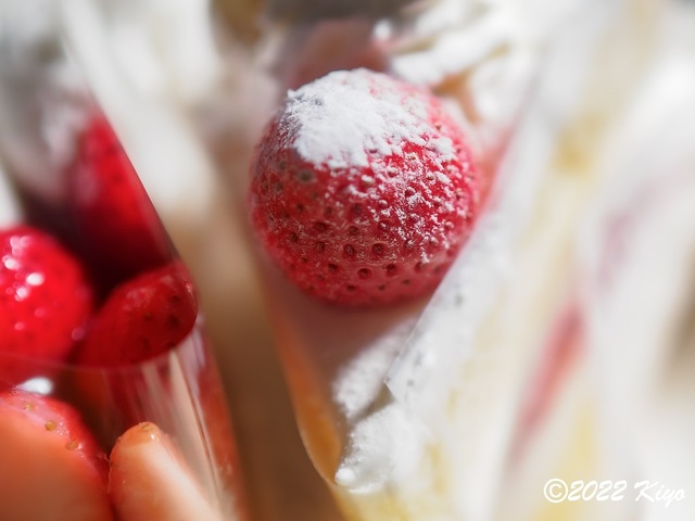 E2110579-ORF_DxO_DeepPRIME_CameraRAW_signed.jpg