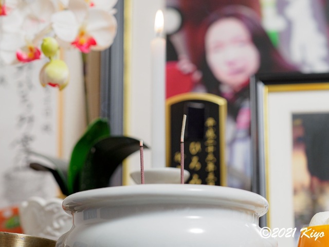 E5110946_CameraRAW_2048_signed.jpg