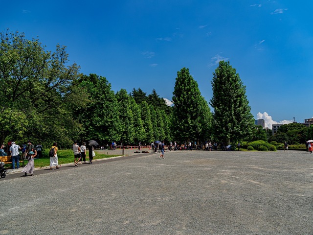 E7232340-ORF_DxO_DeepPRIME-強化_CameraRAW_2048_signed.jpg