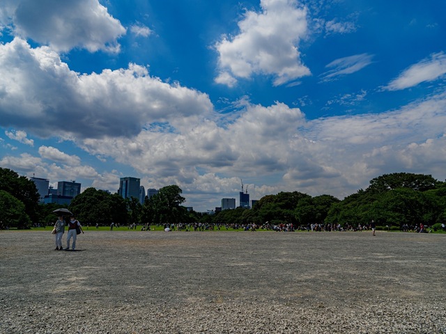 E7232343-ORF_DxO_DeepPRIME-強化_CameraRAW_2048_signed.jpg