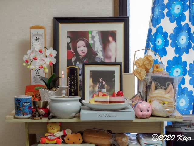 E8116691_CameraRAW_2048_2048x1536_signed.jpg