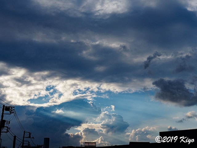 E9071200_CameraRAW_2048_2048x1536_signed.jpg