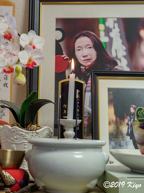 E9111218_CameraRAW_2048_2048x1536_signed.jpg