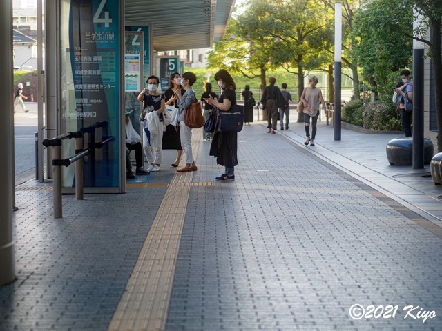 EA030031-ORF_DxO_DeepPRIME_CameraRAW_2048_signed.jpg