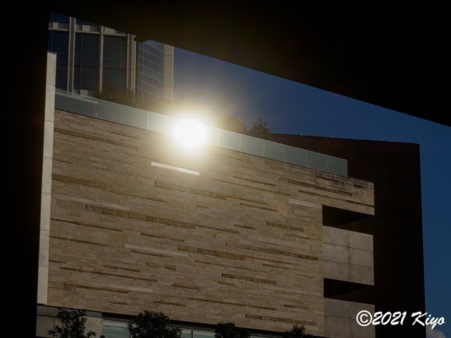 EA030032-ORF_DxO_DeepPRIME_CameraRAW_2048_signed.jpg