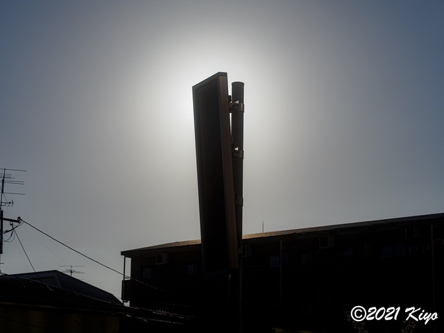 EA030037-ORF_DxO_DeepPRIME_CameraRAW_2048_signed.jpg