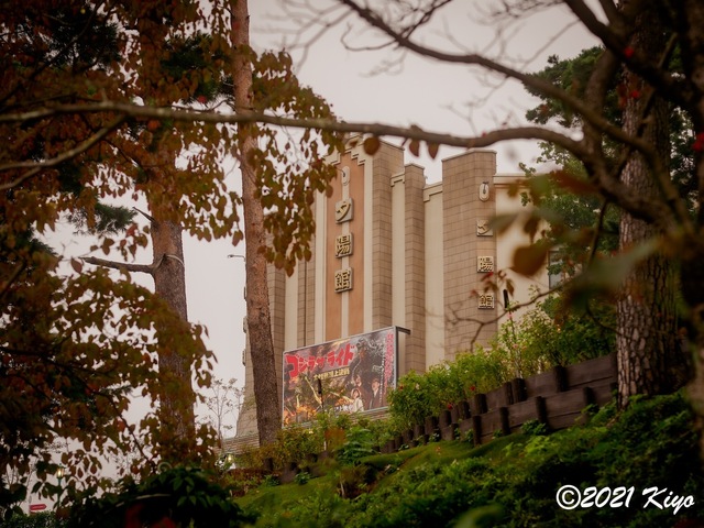 EA091467-ORF_DxO_DeepPRIME_CameraRAW_signed.jpg