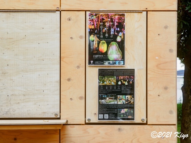EA091608-ORF_DxO_DeepPRIME_CameraRAW_signed.jpg