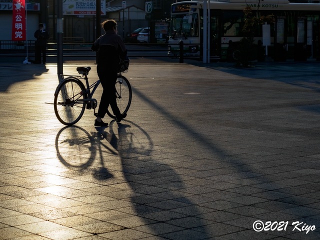 EB191804-ORF_DxO_DeepPRIME_CameraRAW_signed.jpg