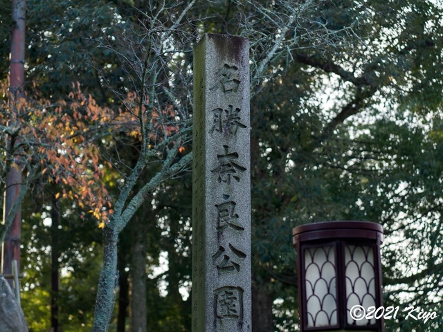 EB191878-ORF_DxO_DeepPRIME_CameraRAW_signed.jpg