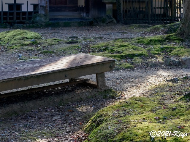 EB191890-ORF_DxO_DeepPRIME_CameraRAW_signed.jpg