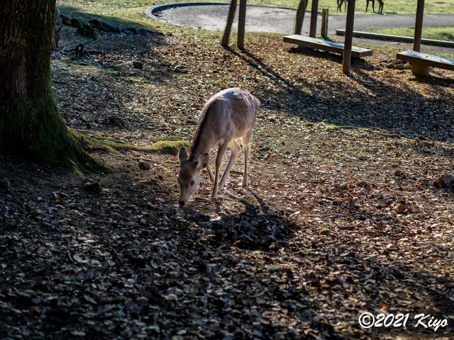 EB191908-ORF_DxO_DeepPRIME_CameraRAW_signed.jpg