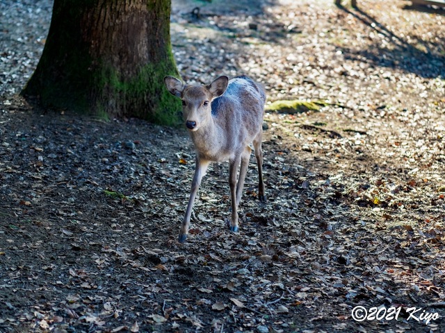 EB191909-ORF_DxO_DeepPRIME_CameraRAW_signed.jpg