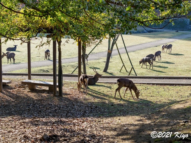 EB191910-ORF_DxO_DeepPRIME_CameraRAW_signed.jpg