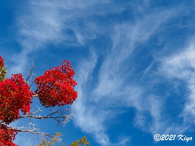 EB192000-ORF_DxO_DeepPRIME_CameraRAW_signed.jpg