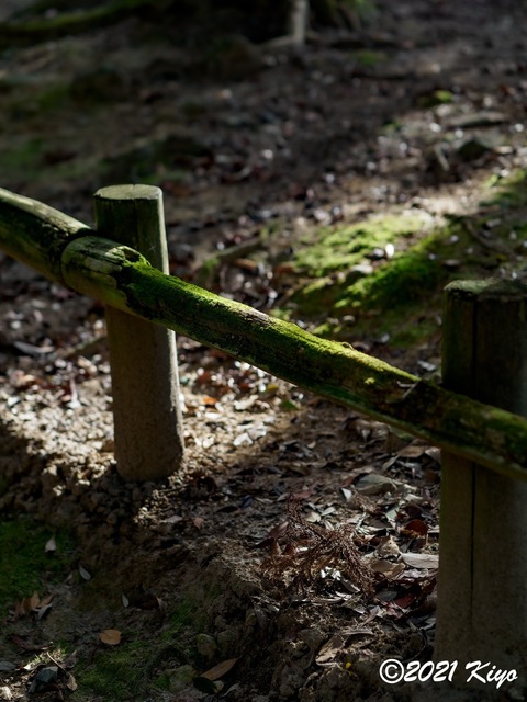 EB192019-ORF_DxO_DeepPRIME_CameraRAW_signed.jpg