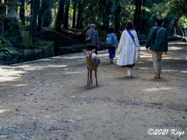 EB192028-ORF_DxO_DeepPRIME_CameraRAW_signed.jpg
