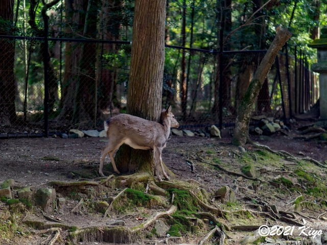 EB192030-ORF_DxO_DeepPRIME_CameraRAW_signed.jpg
