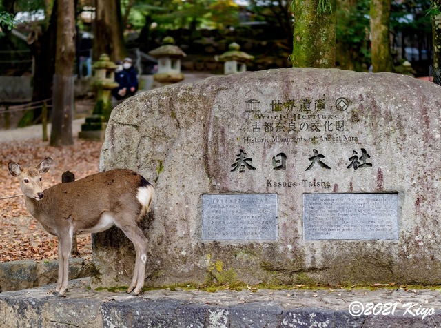 EB192035-ORF_DxO_DeepPRIME_CameraRAW_signed.jpg