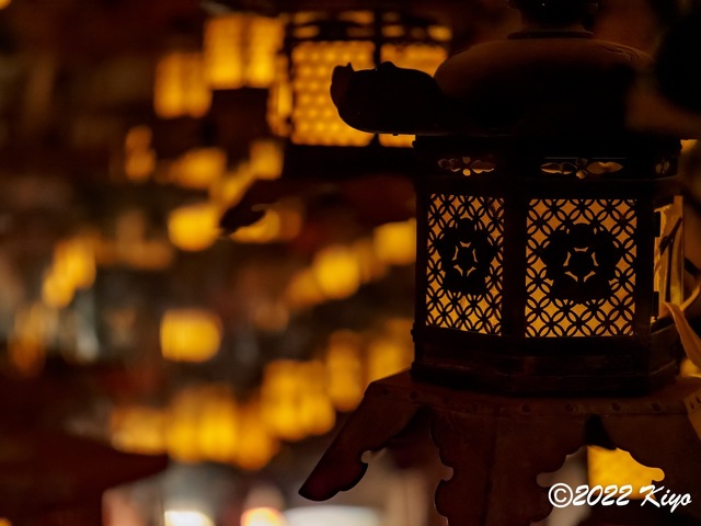 EB192097-ORF_DxO_DeepPRIME_CameraRAW_signed.jpg