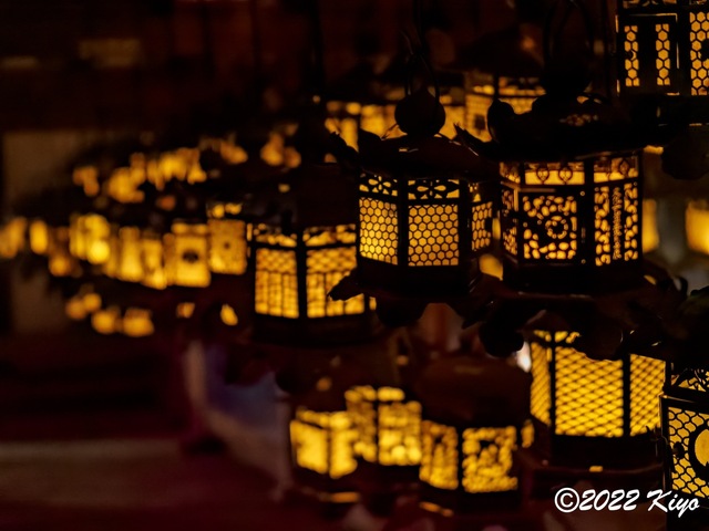 EB192099-ORF_DxO_DeepPRIME_CameraRAW_signed.jpg