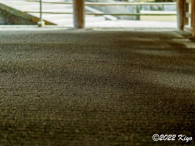 EB192123-ORF_DxO_DeepPRIME_CameraRAW_signed.jpg