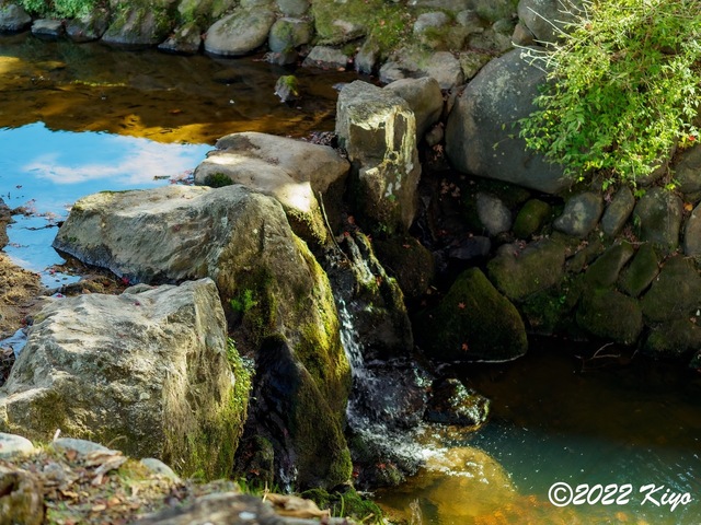 EB192264-ORF_DxO_DeepPRIME_CameraRAW_signed.jpg