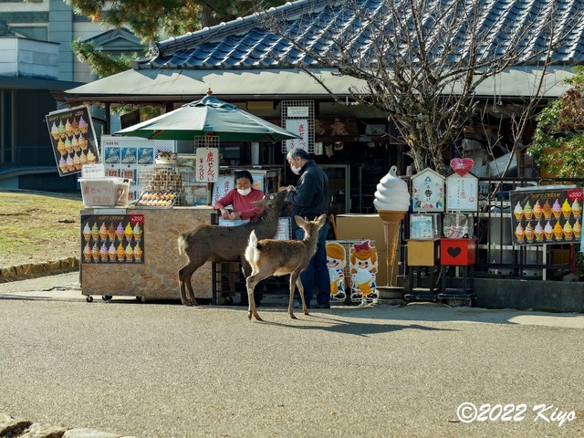 EB192300-ORF_DxO_DeepPRIME_CameraRAW_signed.jpg