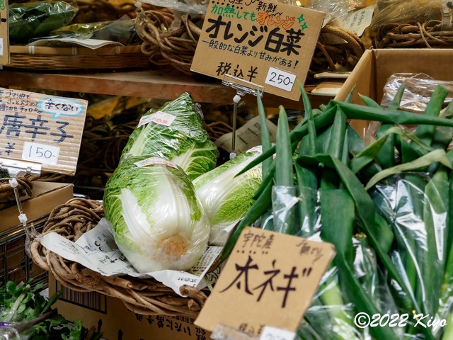 EB202435-ORF_DxO_DeepPRIME_CameraRAW_signed.jpg