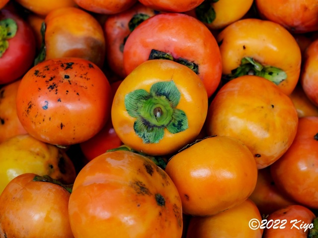 EB202437-ORF_DxO_DeepPRIME_CameraRAW_signed.jpg