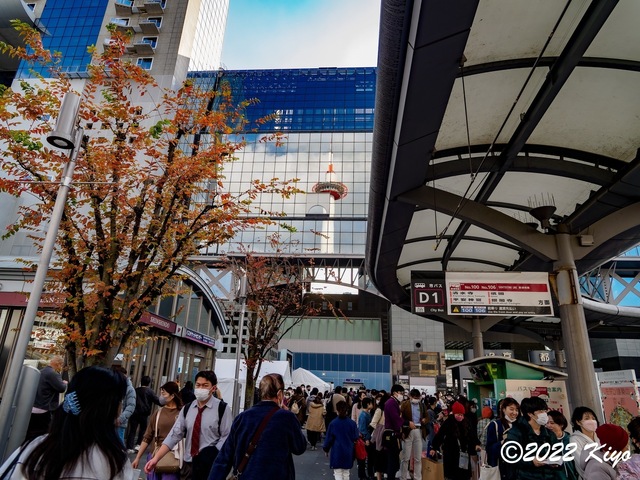 EB202562-ORF_DxO_DeepPRIME_CameraRAW_signed.jpg